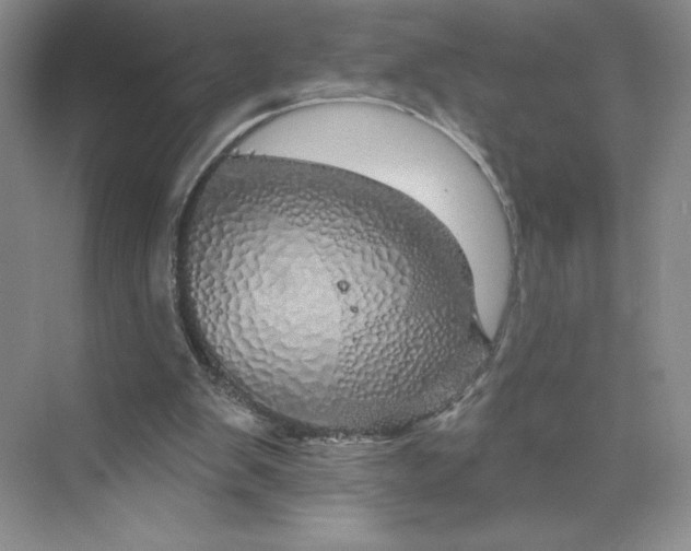 X0000075900103200609291742