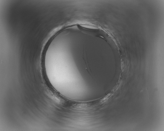 X0000075900104200609291742