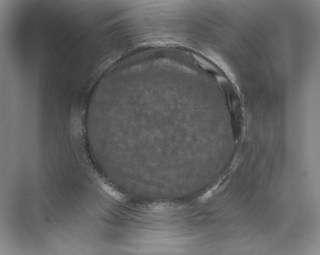 X0000075900105200609291742