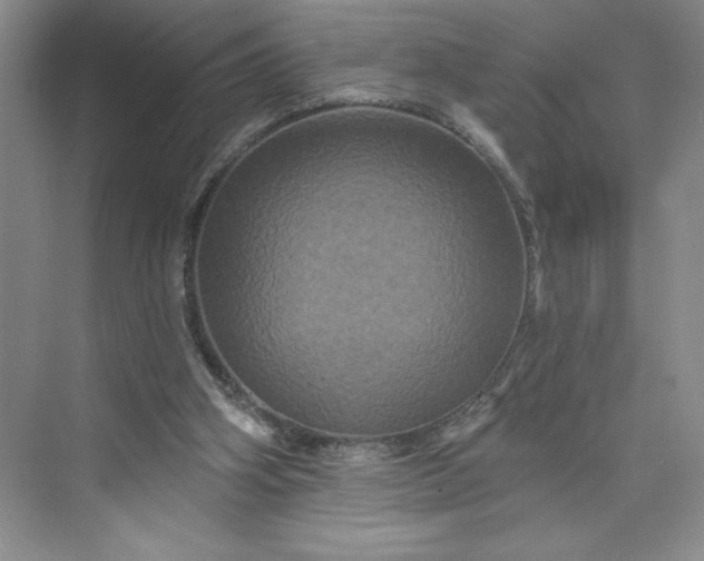 X0000075900106200609291742