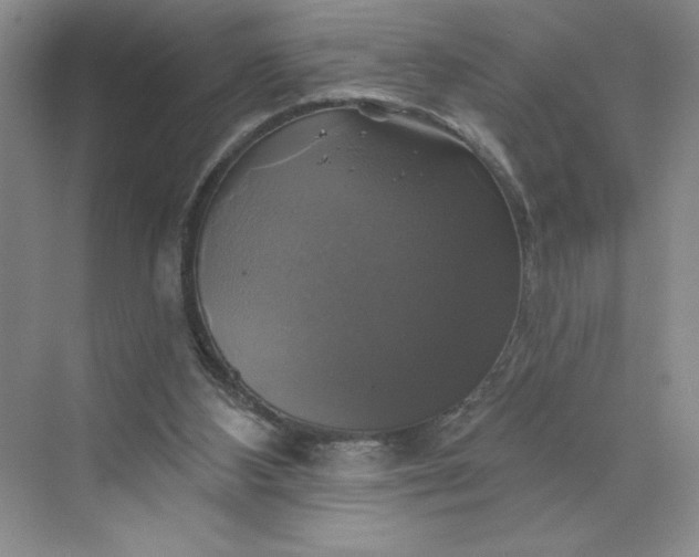 X0000075900108200609291742