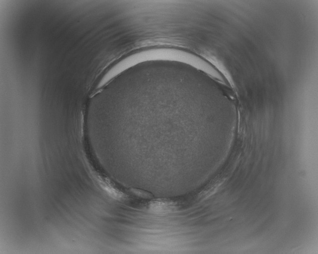 X0000075900109200609291742