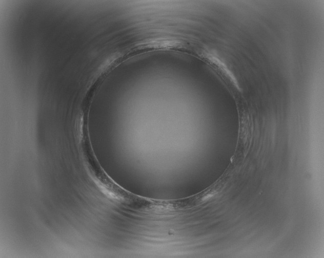 X0000075900110200609291742