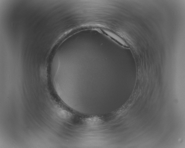 X0000075900112200609291742