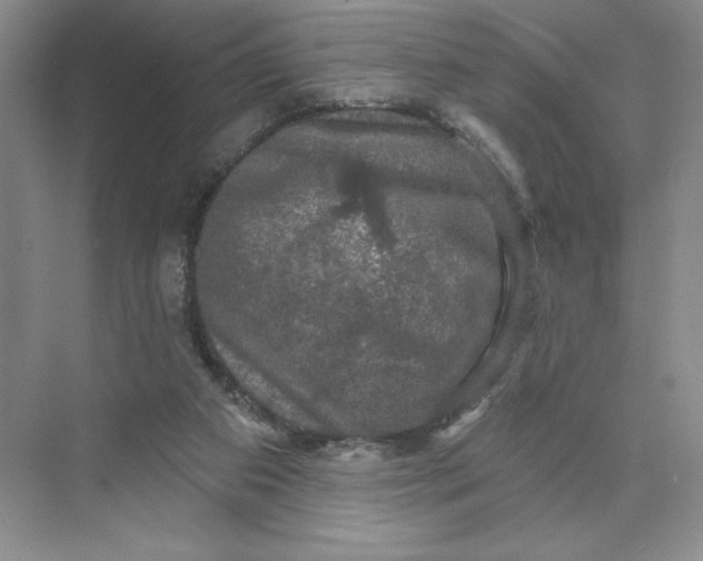 X0000075900113200609291742