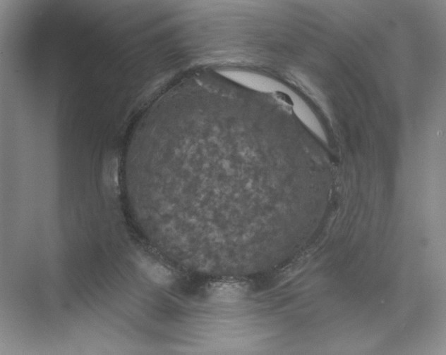 X0000075900115200609291742