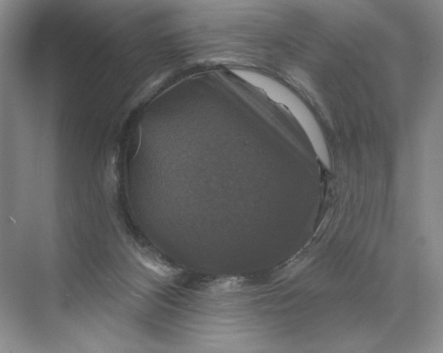 X0000075900116200609291742