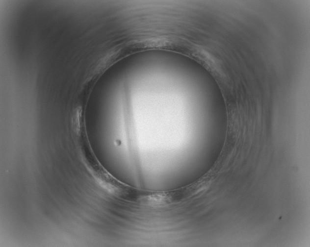 X0000075900118200609291742