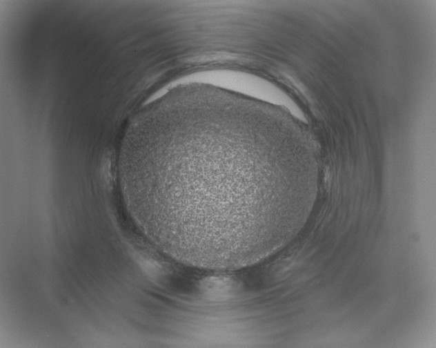 X0000075900119200609291742