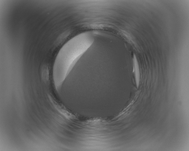 X0000075900120200609291742