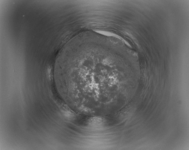 X0000075900123200609291742