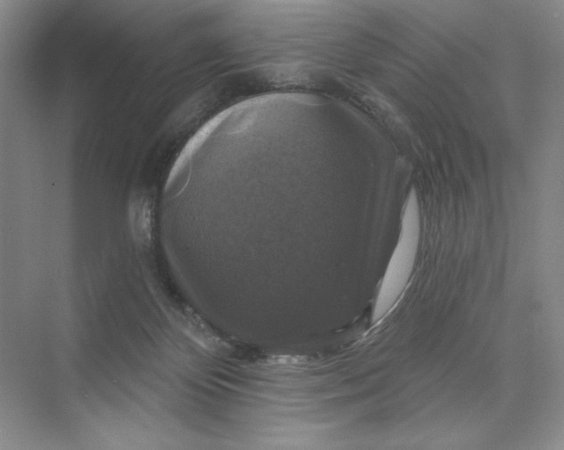 X0000075900124200609291742