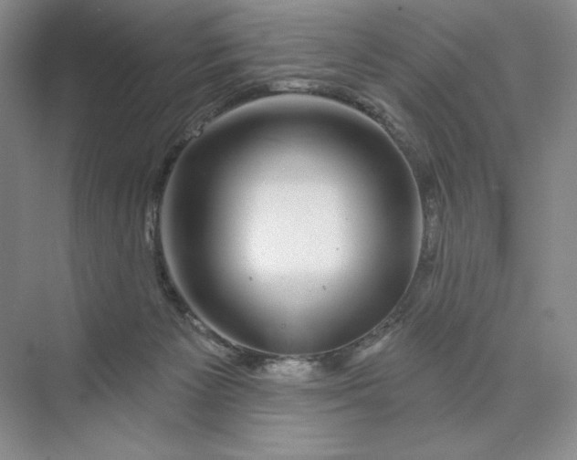 X0000075900125200609291742