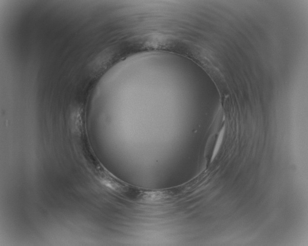 X0000075900127200609291742