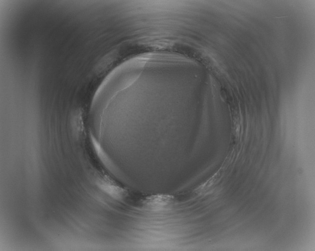 X0000075900128200609291742