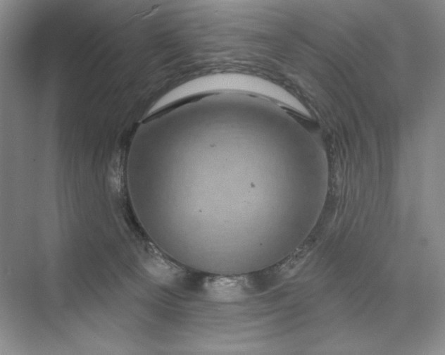 X0000075900129200609291742