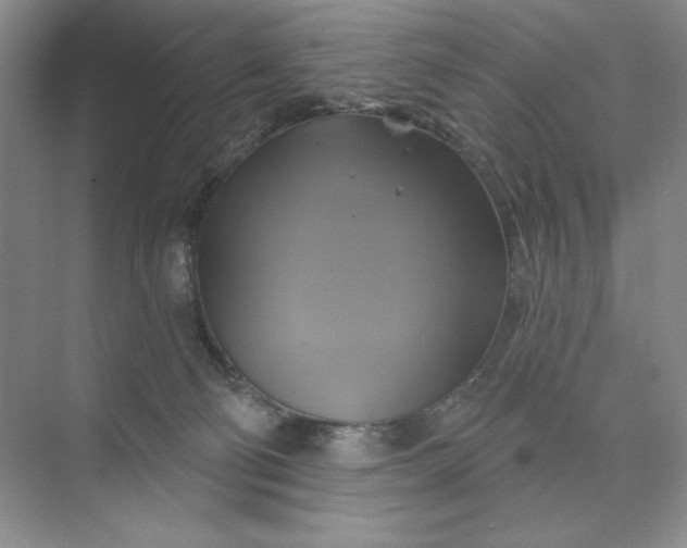 X0000075900130200609291742