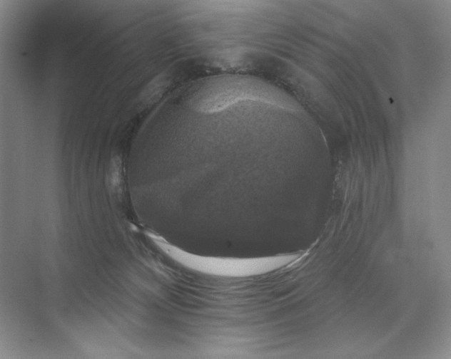 X0000075900132200609291742