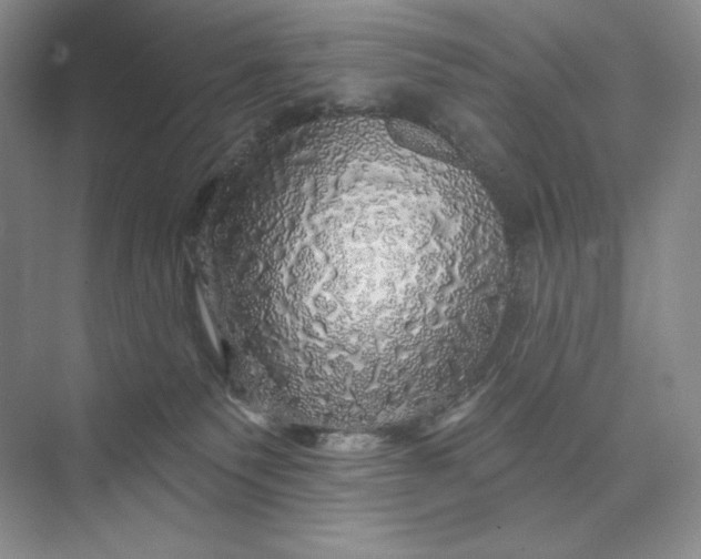 X0000075900135200609291742