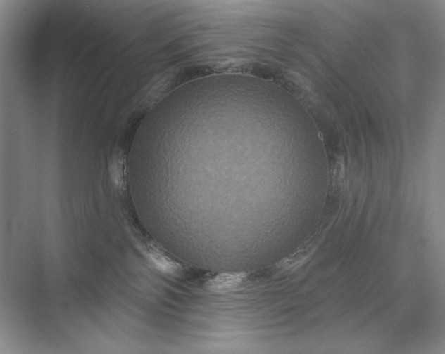 X0000075900138200609291741