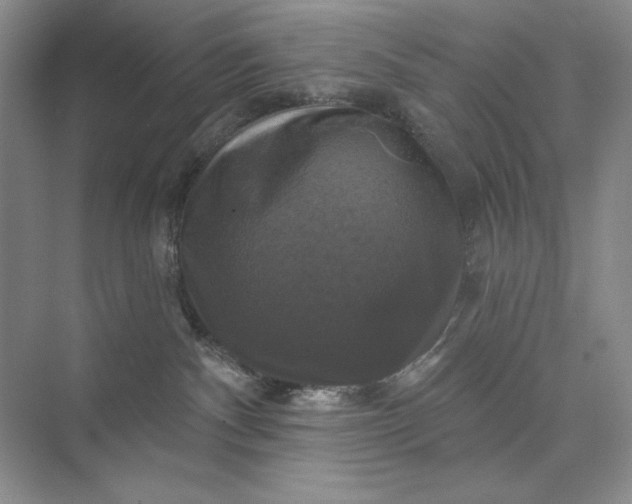 X0000075900140200609291741