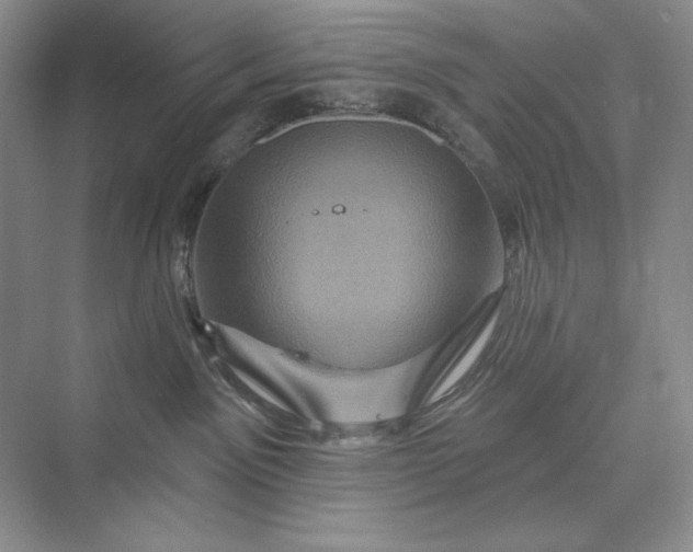 X0000075900141200609291741