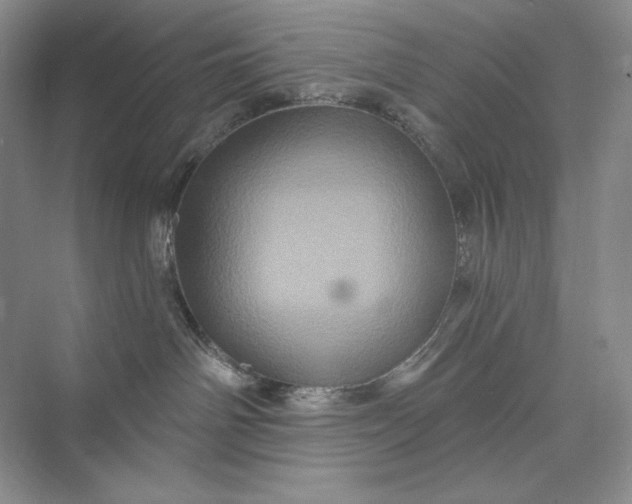 X0000075900142200609291741