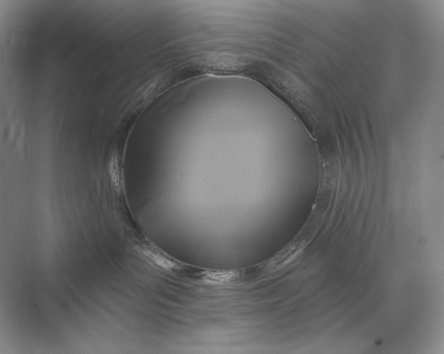 X0000075900143200609291741