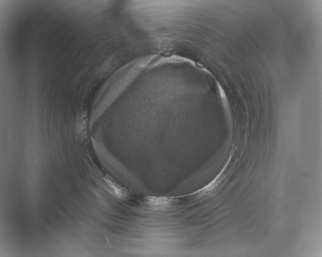 X0000075900144200609291741