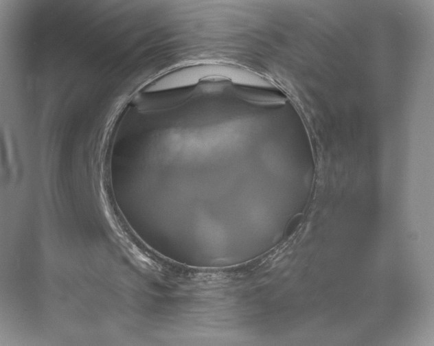 X0000075900145200609291741