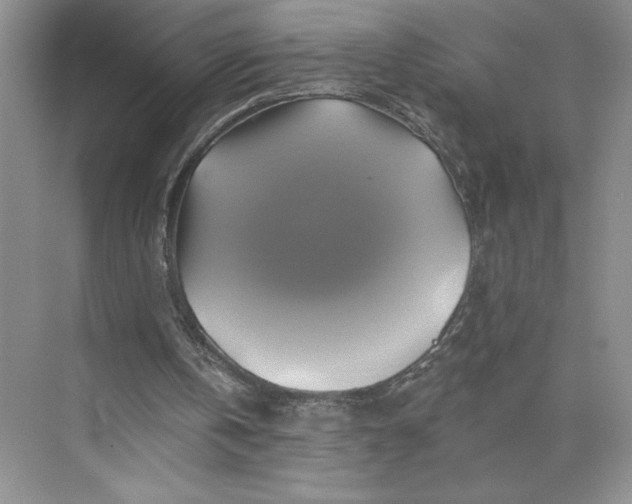 X0000075900146200609291741