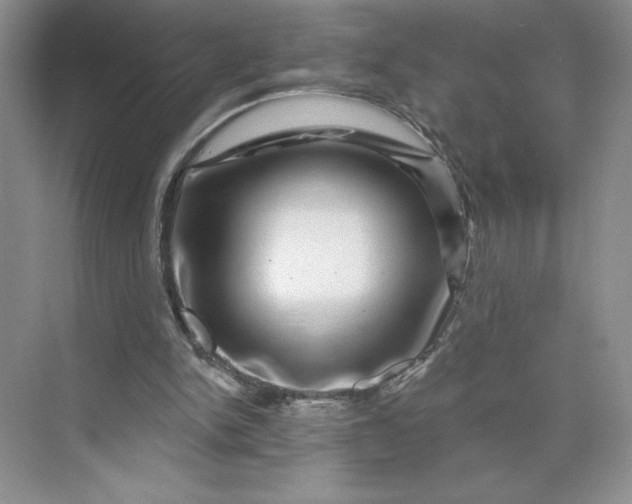 X0000075900150200609291741