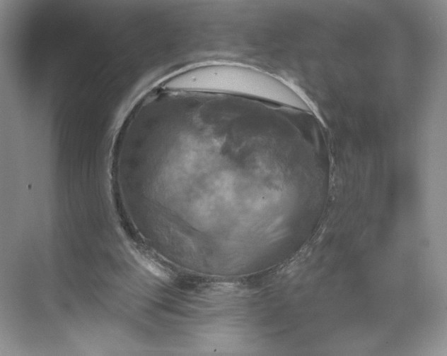 X0000075900151200609291741