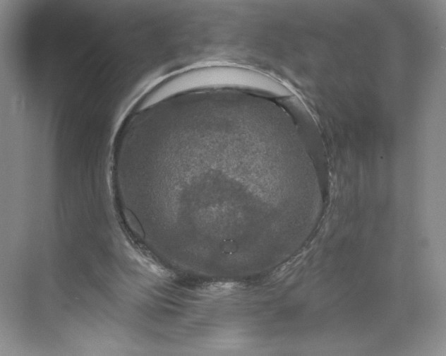 X0000075900152200609291741