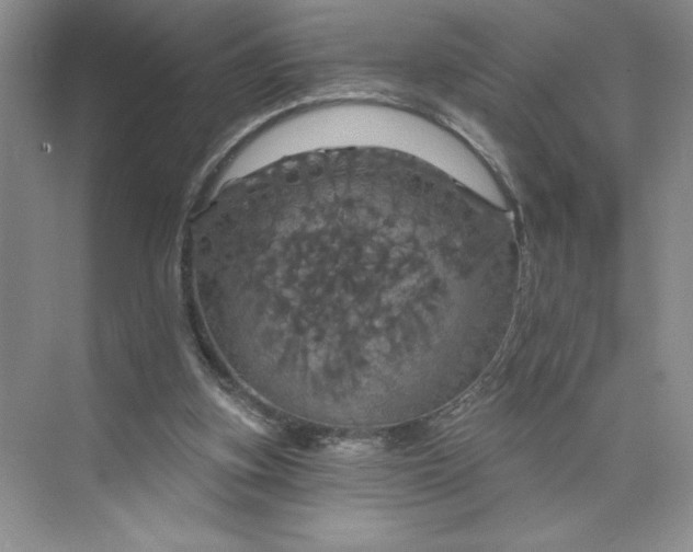 X0000075900155200609291741