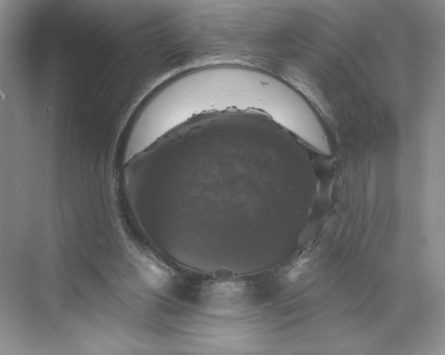 X0000075900156200609291741