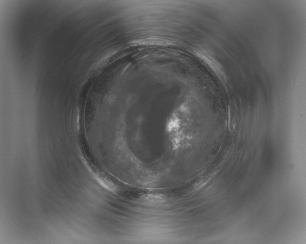 X0000075900157200609291741