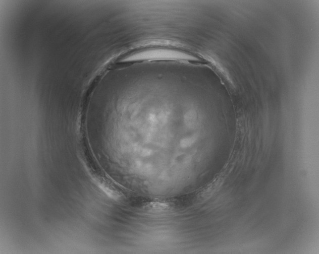 X0000075900159200609291741