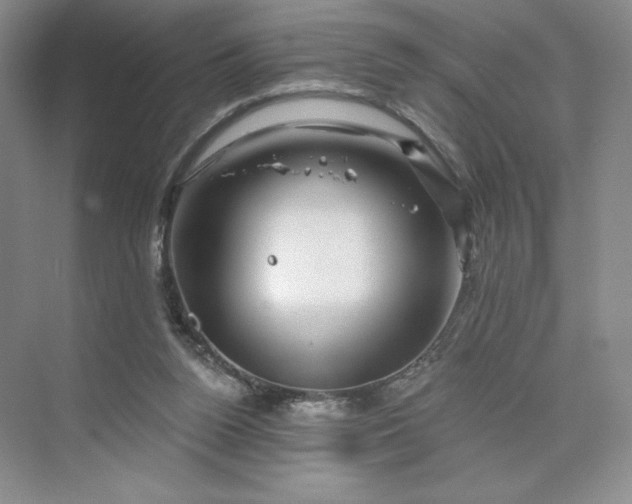 X0000075900160200609291741