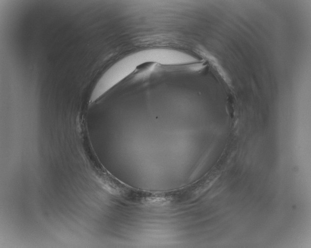 X0000075900161200609291741