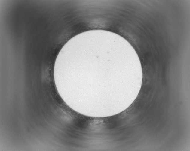 X0000075900162200609291741