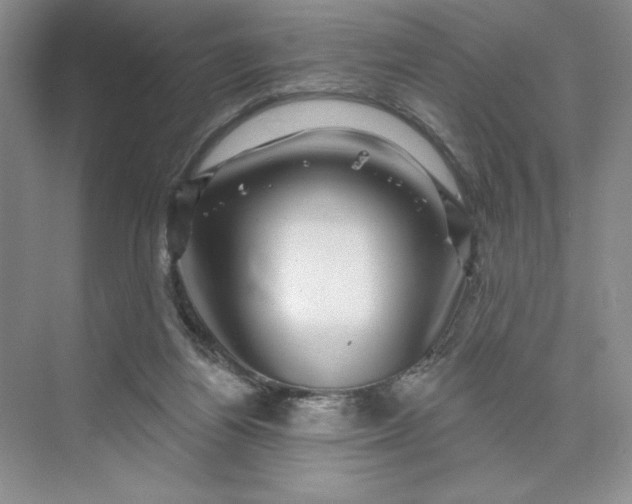 X0000075900164200609291741