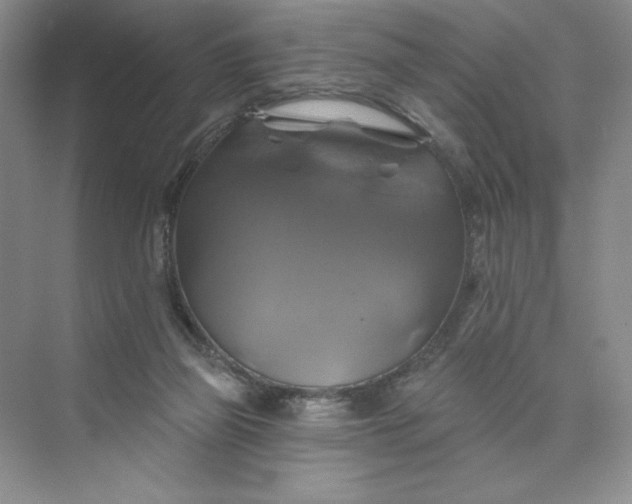 X0000075900165200609291741