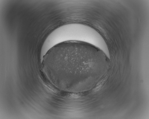 X0000075900166200609291741