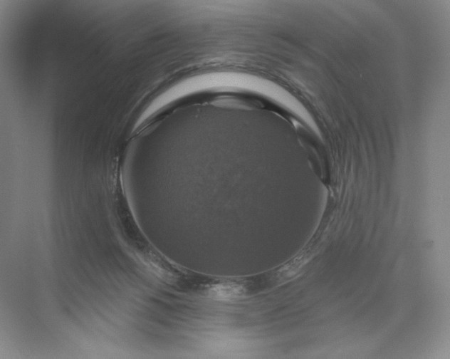 X0000075900168200609291741