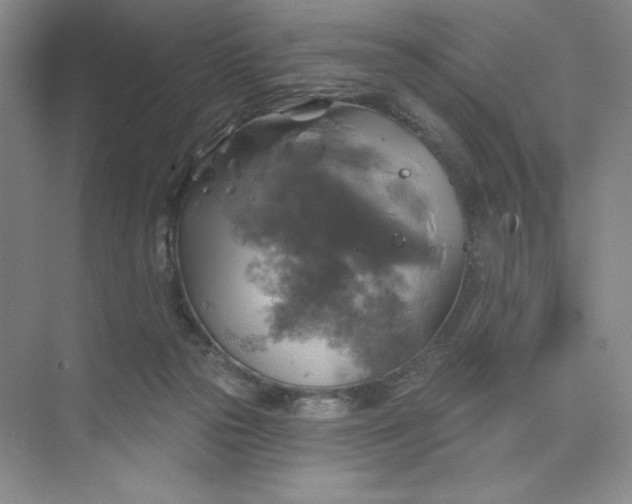 X0000075900169200609291741