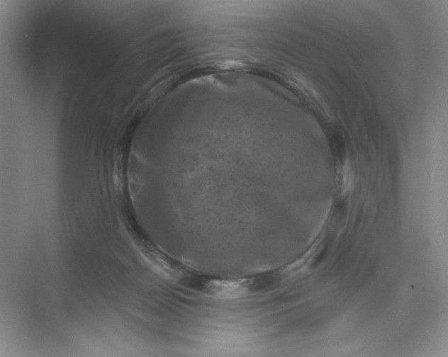 X0000075900170200609291741