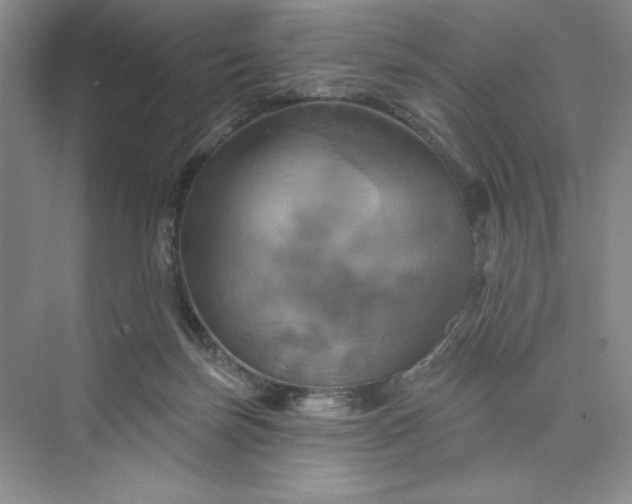 X0000075900171200609291741