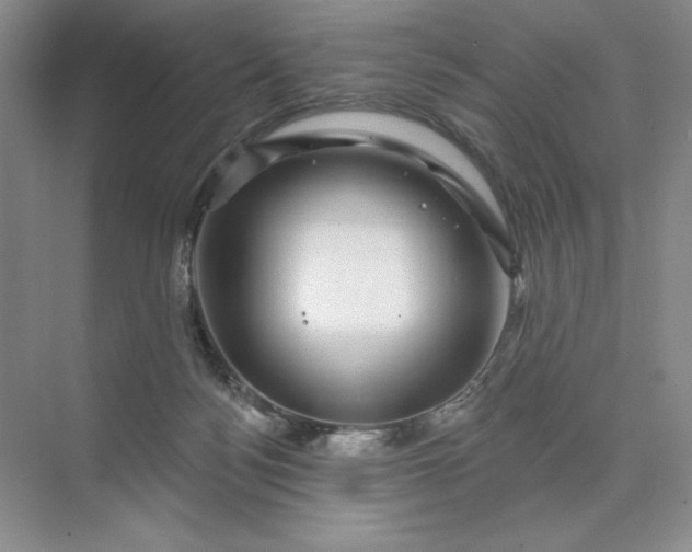 X0000075900172200609291741