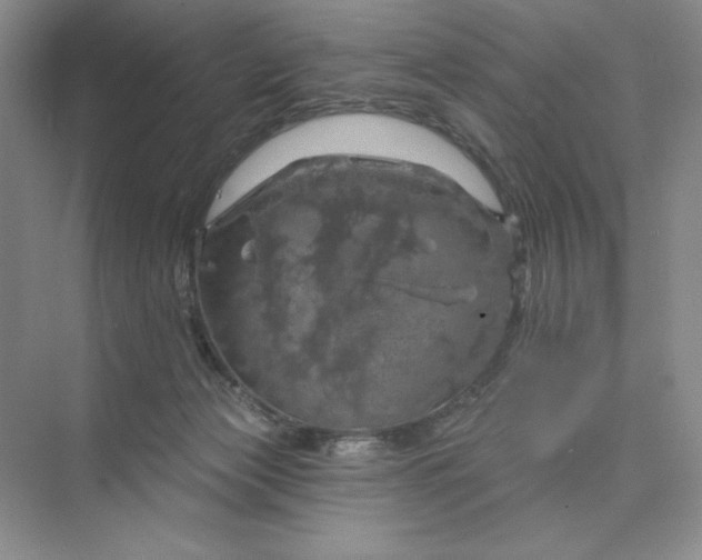 X0000075900173200609291741